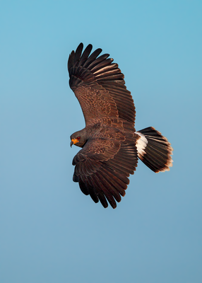 g13/68/901968/3/139898507.d9d8e9a4.PNG