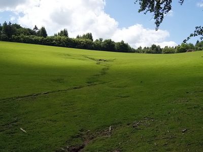 In the park