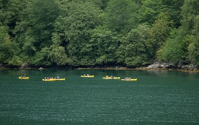 Canoeing in Geiranger fjord