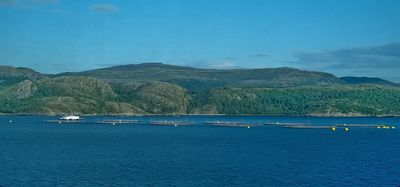 One of the many fishfarms, called aquaculture