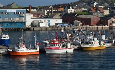 Colourful boats