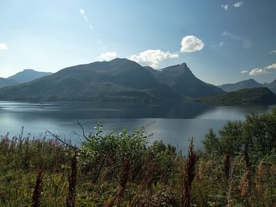 Bay Bogbukta