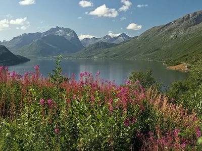 Bay Bogbukta