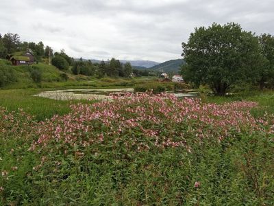 Beautiful landscape