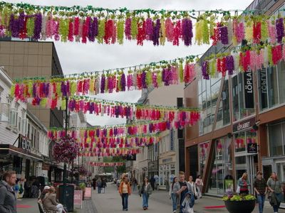 'Flower' Street