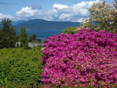 UBC campus