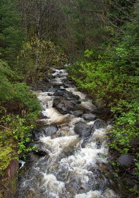 Vancouver to Alaska Expedition 2025