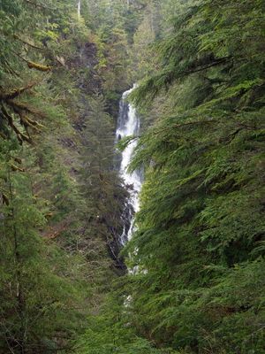 Vancouver to Alaska Expedition 2025