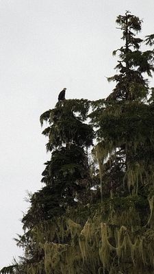 Vancouver to Alaska Expedition 2025