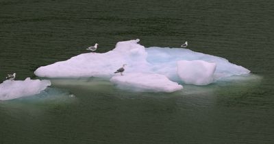 Vancouver to Alaska Expedition 2025