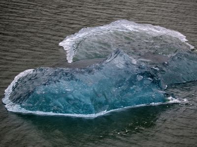 Vancouver to Alaska Expedition 2025