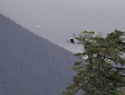 Vancouver to Alaska Expedition 2025