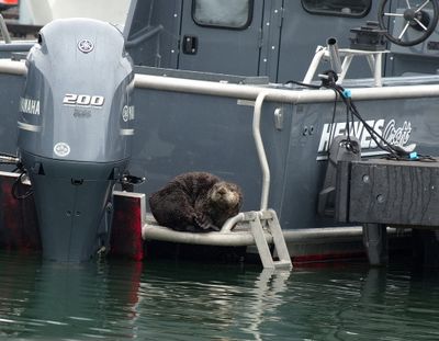 Vancouver to Alaska Expedition 2025