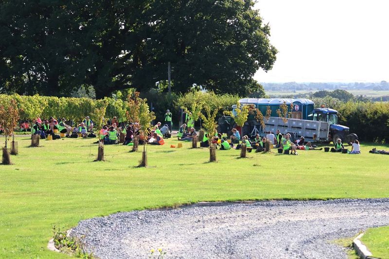 VINEYARD WORKERS ON BREAK