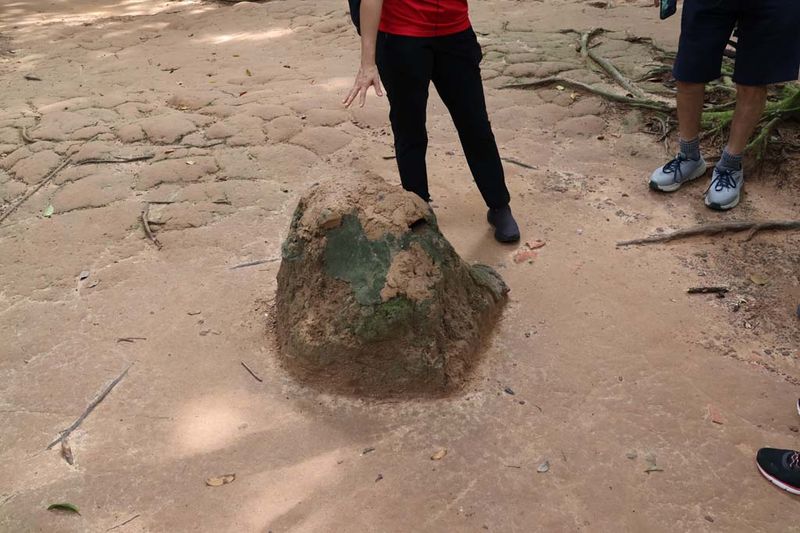 AIR SUPPLY PIPES DISGUISED AS TERMITE MOUNDS
