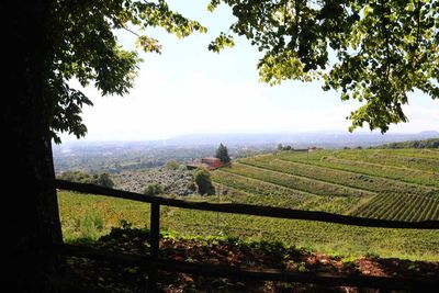 BARONE DI VILLAGRANDE