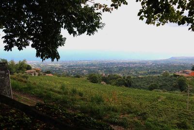 BARONE DI VILLAGRANDE