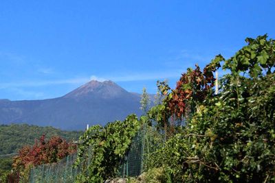 EXCURSION TO MT ETNA