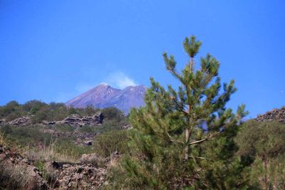 EXCURSION TO MT ETNA