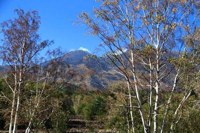 EXCURSION TO MT ETNA