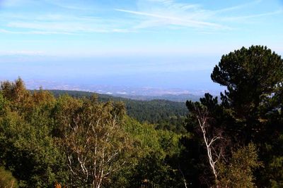 EXCURSION TO MT ETNA