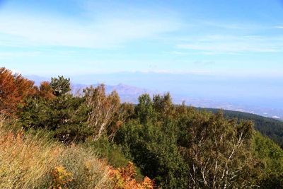 EXCURSION TO MT ETNA