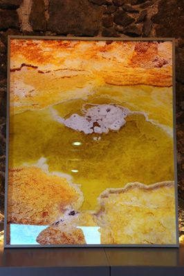 ART IN THE VISITOR CENTER