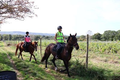 HORSEBACK AND HIKING TRAILS COMMON IN ENGLAND
