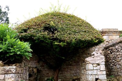 HEVER CASTLE - THE ITALIAN GARDEN