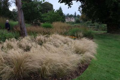 HEVER CASTLE - THE ITALIAN GARDEN