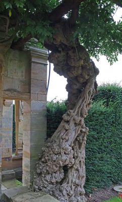 HEVER CASTLE - THE ITALIAN GARDEN