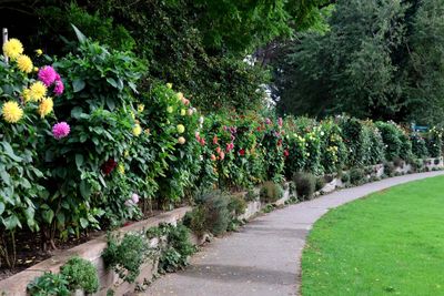 HEVER CASTLE - THE ITALIAN GARDEN