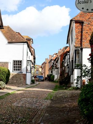 THE QUAINT PERSONALITY OF RYE