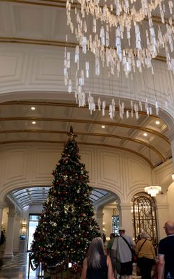 IMG_1355_edited-1.jpg