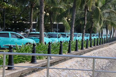 VIN BRAND CARS COMMONLY USED AS TAXIS AND USUALLY THIS COLOR