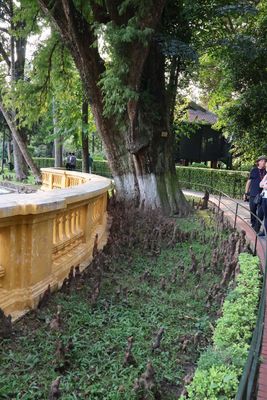 GROUNDS OF THE PRESIDENTIAL PALACE