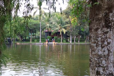 GROUNDS OF THE PRESIDENTIAL PALACE