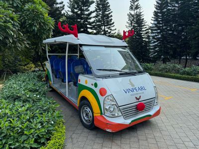 SHUTTLE CART - PIER TO HOTEL