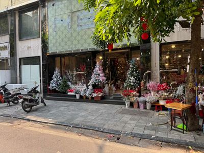 HANOI STREET SCENES