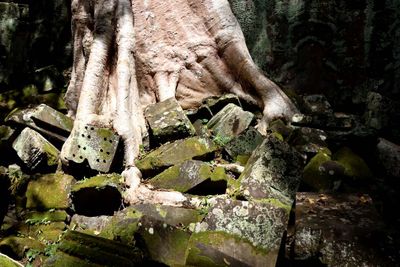 TA PROHM