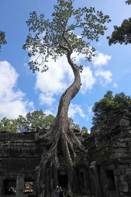 TA PROHM