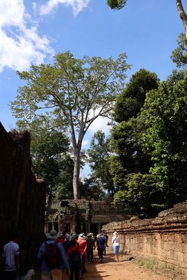 TA PROHM