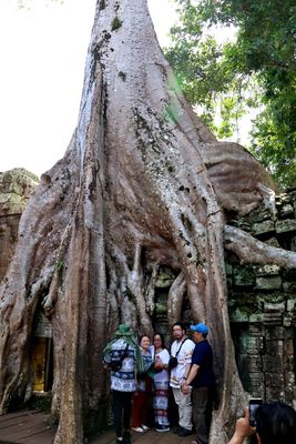 TA PROHM