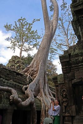 TA PROHM