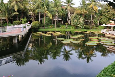 GROUNDS OF THE SOFITEL SIEM REAP