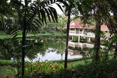 GROUNDS OF THE SOFITEL SIEM REAP