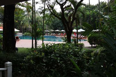 GROUNDS OF THE SOFITEL SIEM REAP