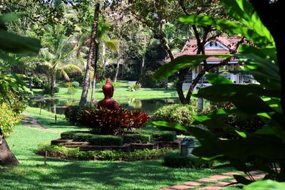 GROUNDS OF THE SOFITEL SIEM REAP