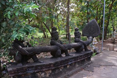 A BHUDDA GARDEN