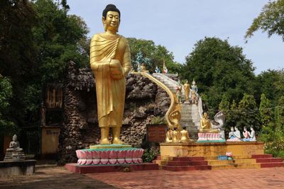 A BHUDDA GARDEN